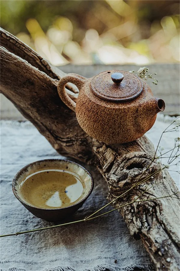庭の植え方で光熱費が変わる？気候別の省エネランドスケープ術