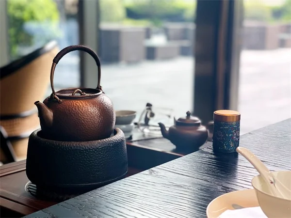 スーパーの種で果樹を育てる？意外な味と長い時間の話