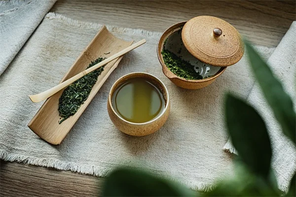 観葉植物のコバエ対策にシナモンが効くって本当？私の成功体験を基に実践方法を解説